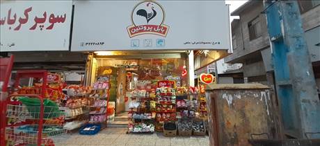 بابل پروتئین